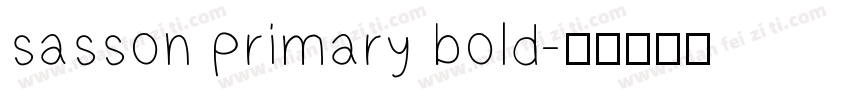 sasson primary bold字体转换